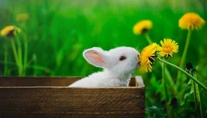 得知帕瓦尔加盟马赛，卢卡斯：我的朋友，你对我做了什么啊